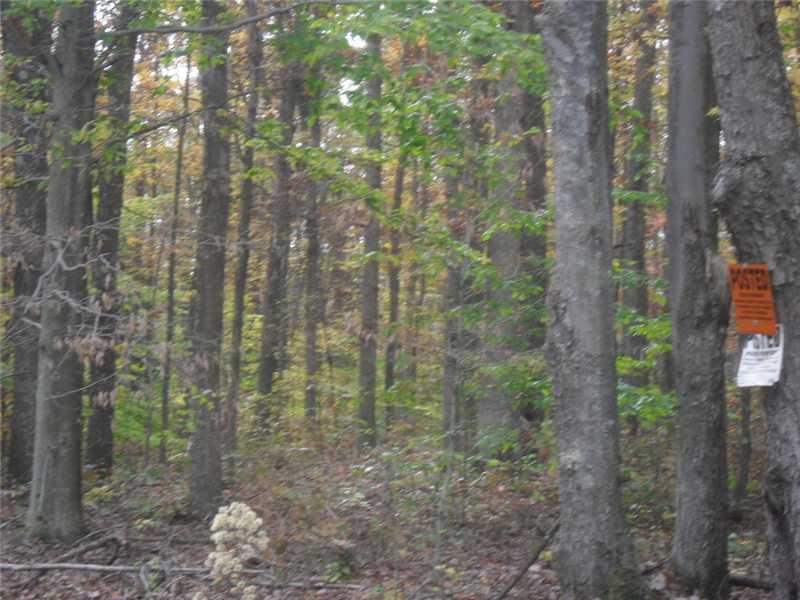 Back Road Confluence, PA 15424 - Photo 20 of 24 Land.