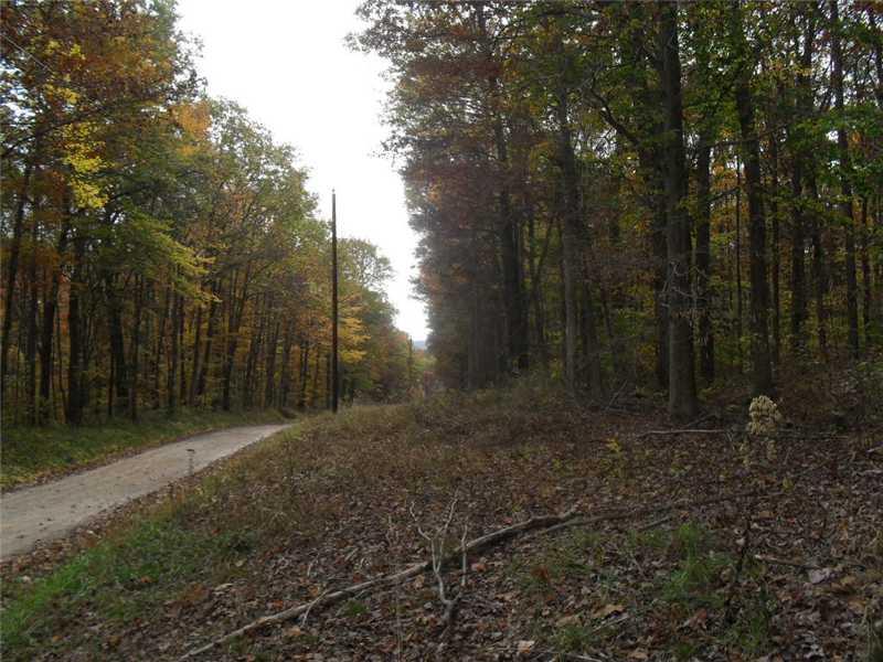 Back Road Confluence, PA 15424 - Photo 21 of 24 Land. A quiet road, across the street to the left is the game lands!! They are in back of this land also!
