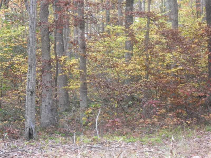 Back Road Confluence, PA 15424 - Photo 5 of 24 Land.