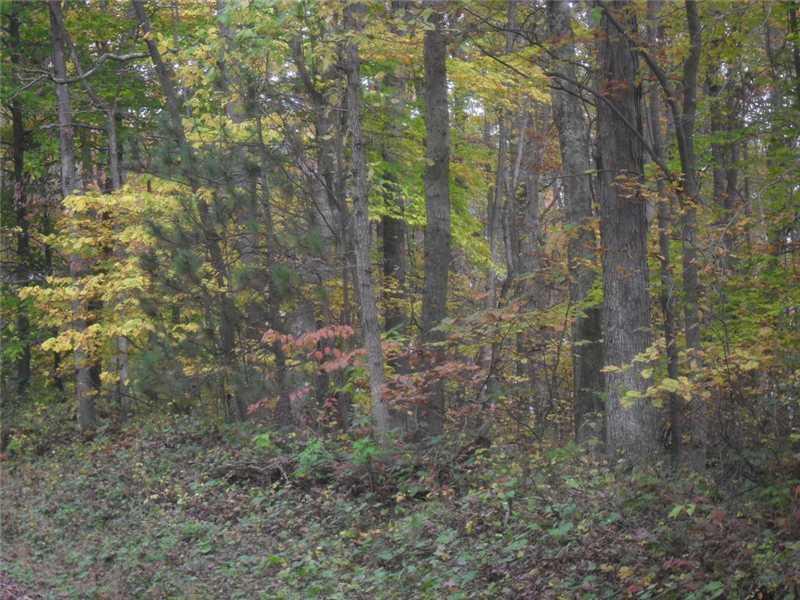 Back Road Confluence, PA 15424 - Photo 7 of 24 Land.
