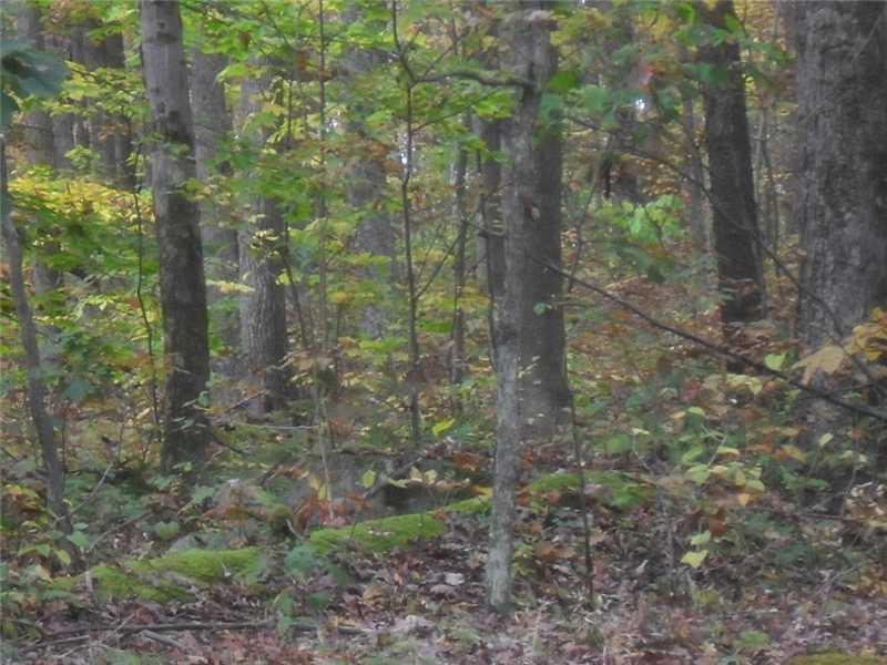 Back Road Confluence, PA 15424 - Photo 10 of 24 Land.