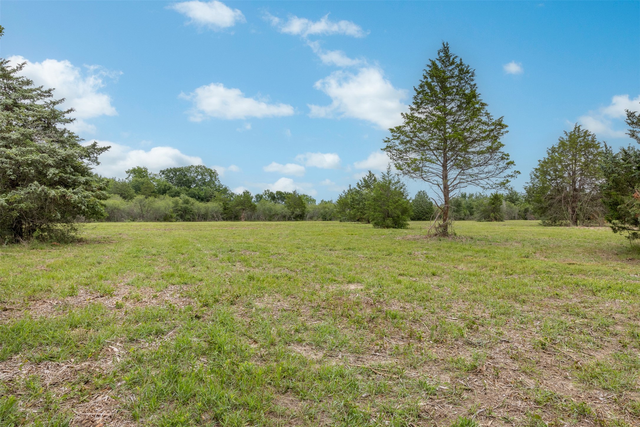 0 Ives Creek Road Bellville, TX 77418 - Photo 12 of 33 a view of a field with an trees