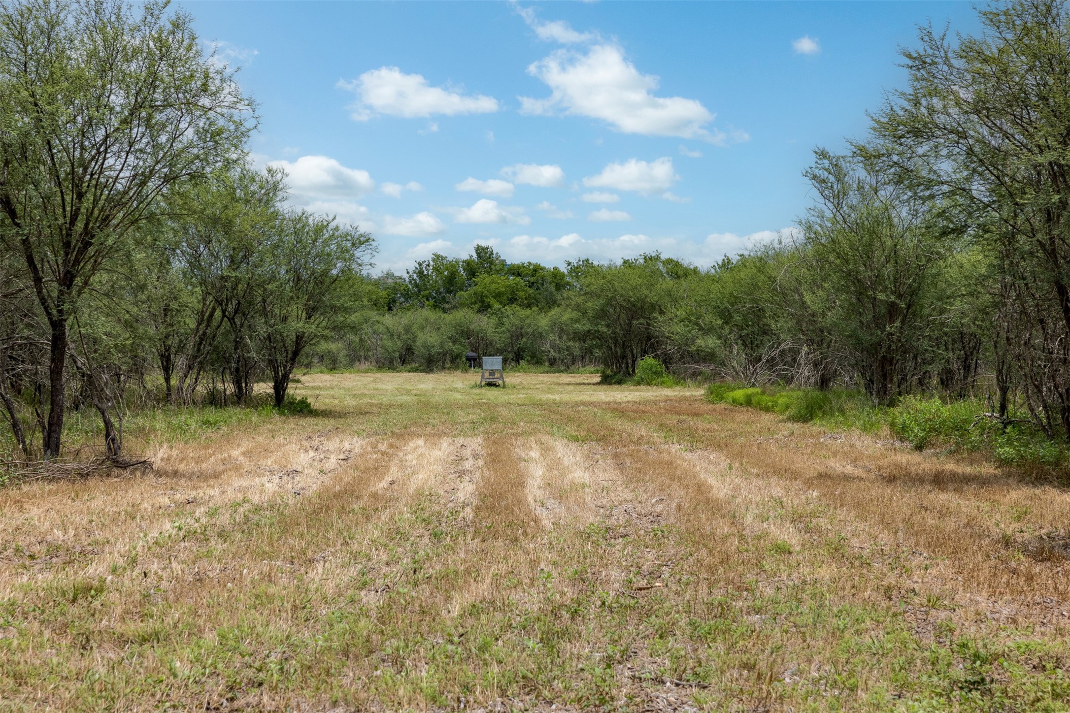 0 Ives Creek Road Bellville, TX 77418 - Photo 13 of 33 a view of backyard with green space