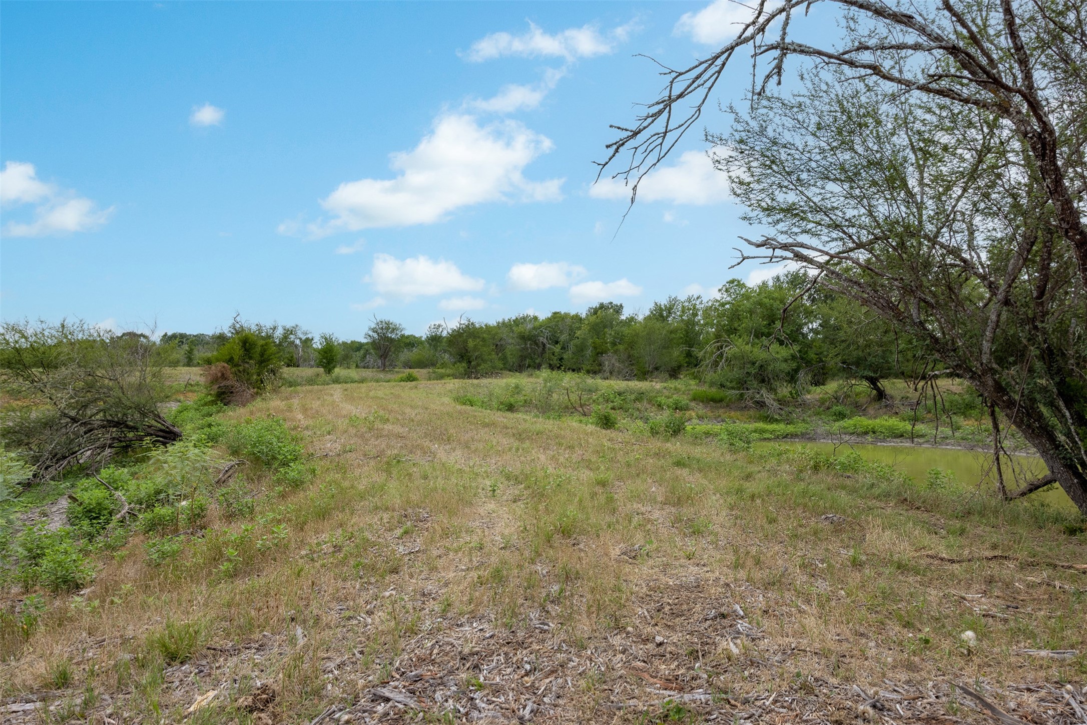 0 Ives Creek Road Bellville, TX 77418 - Photo 16 of 33 a view of an outdoor space with a lake view