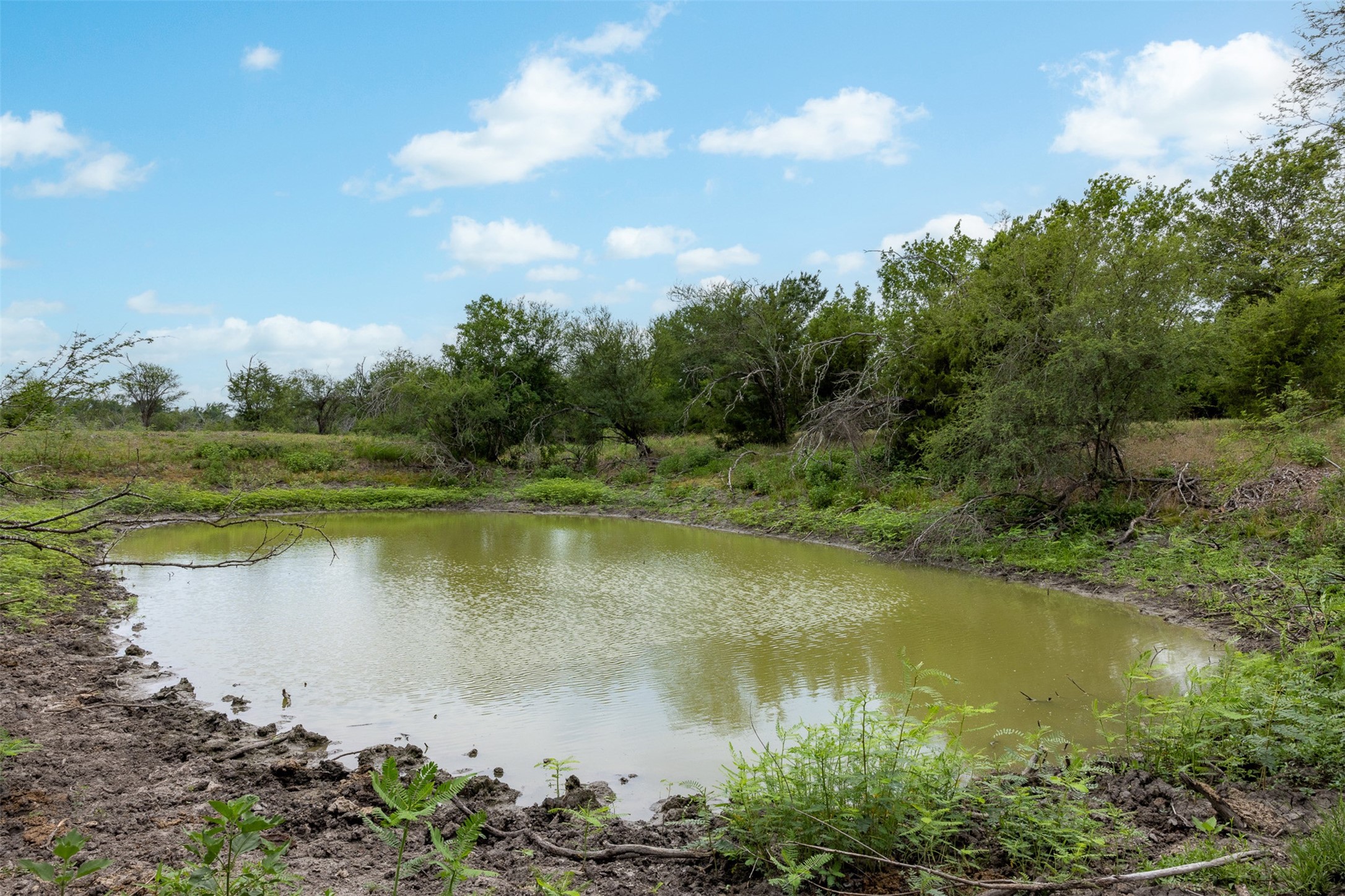 0 Ives Creek Road Bellville, TX 77418 - Photo 17 of 33 a view of a lake with a yard