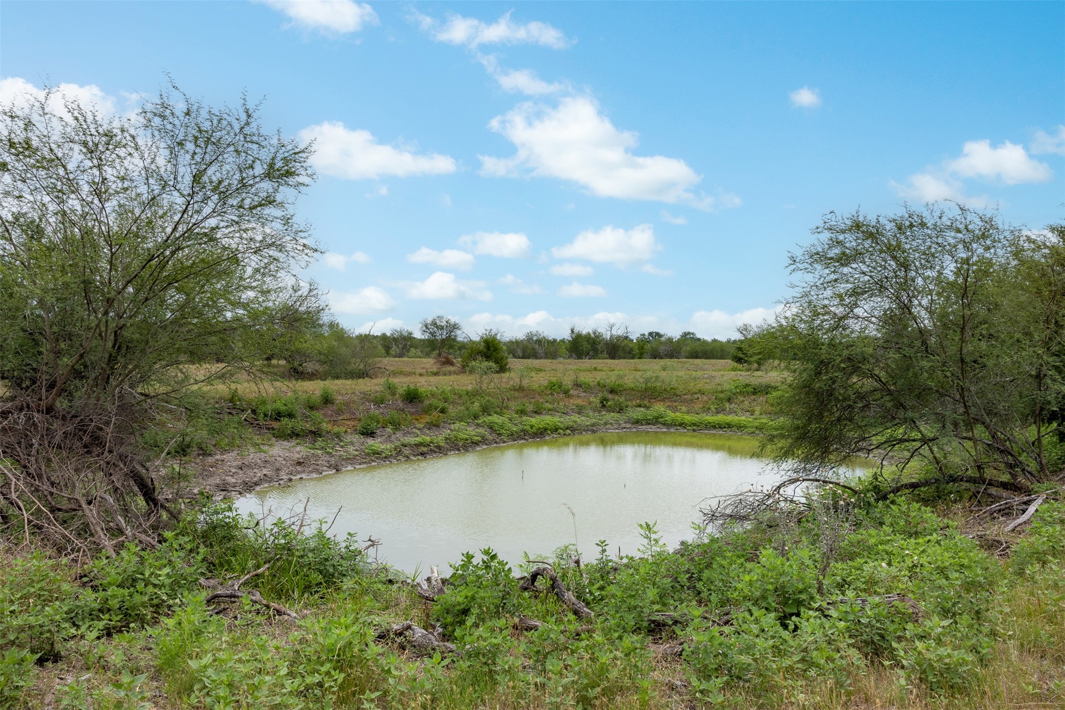 0 Ives Creek Road Bellville, TX 77418 - Photo 18 of 33 a view of a lake in middle of forest
