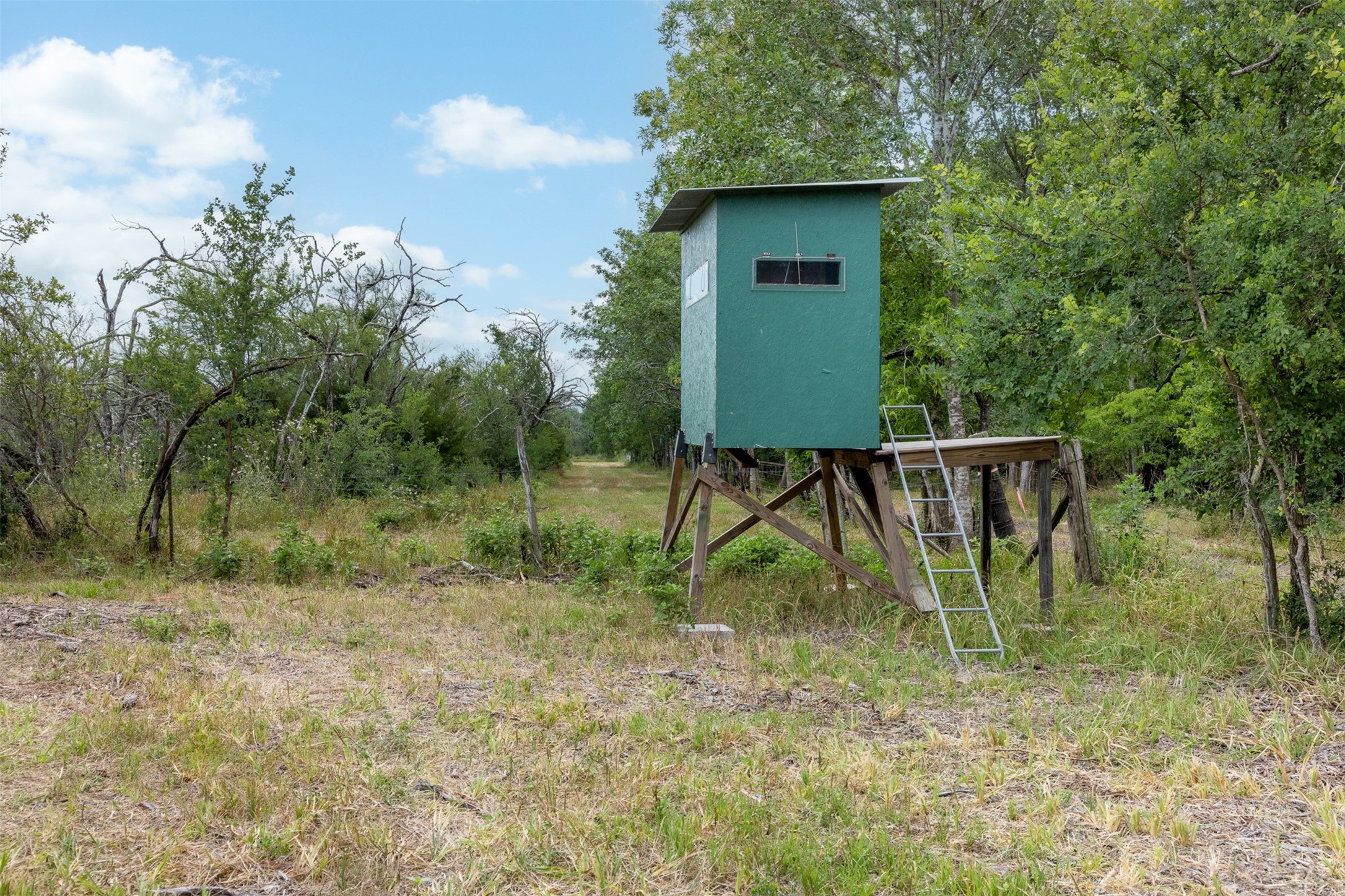 0 Ives Creek Road Bellville, TX 77418 - Photo 20 of 33 a backyard of a house with lots of green space