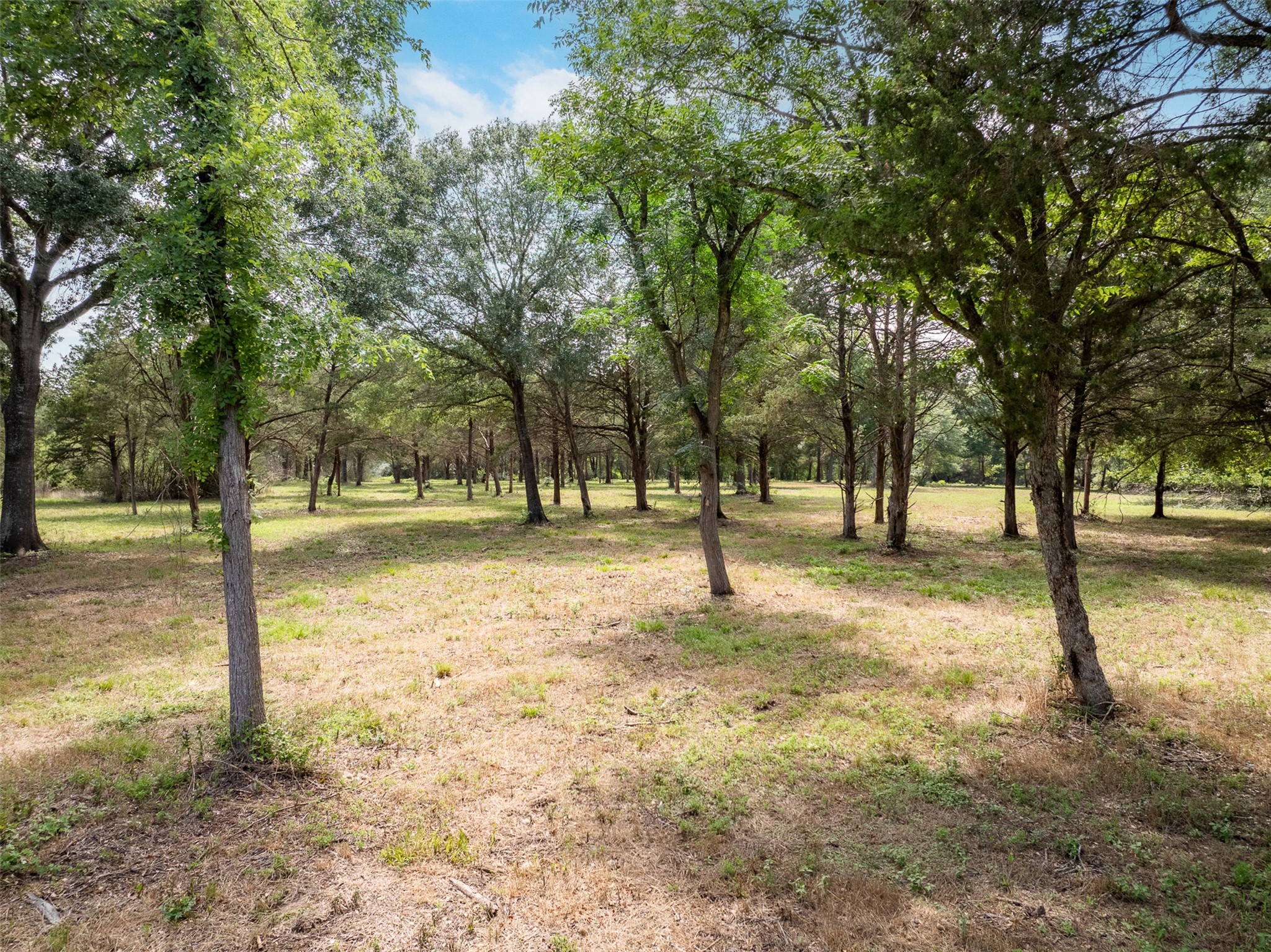 0 Ives Creek Road Bellville, TX 77418 - Photo 2 of 33 a view of street with trees