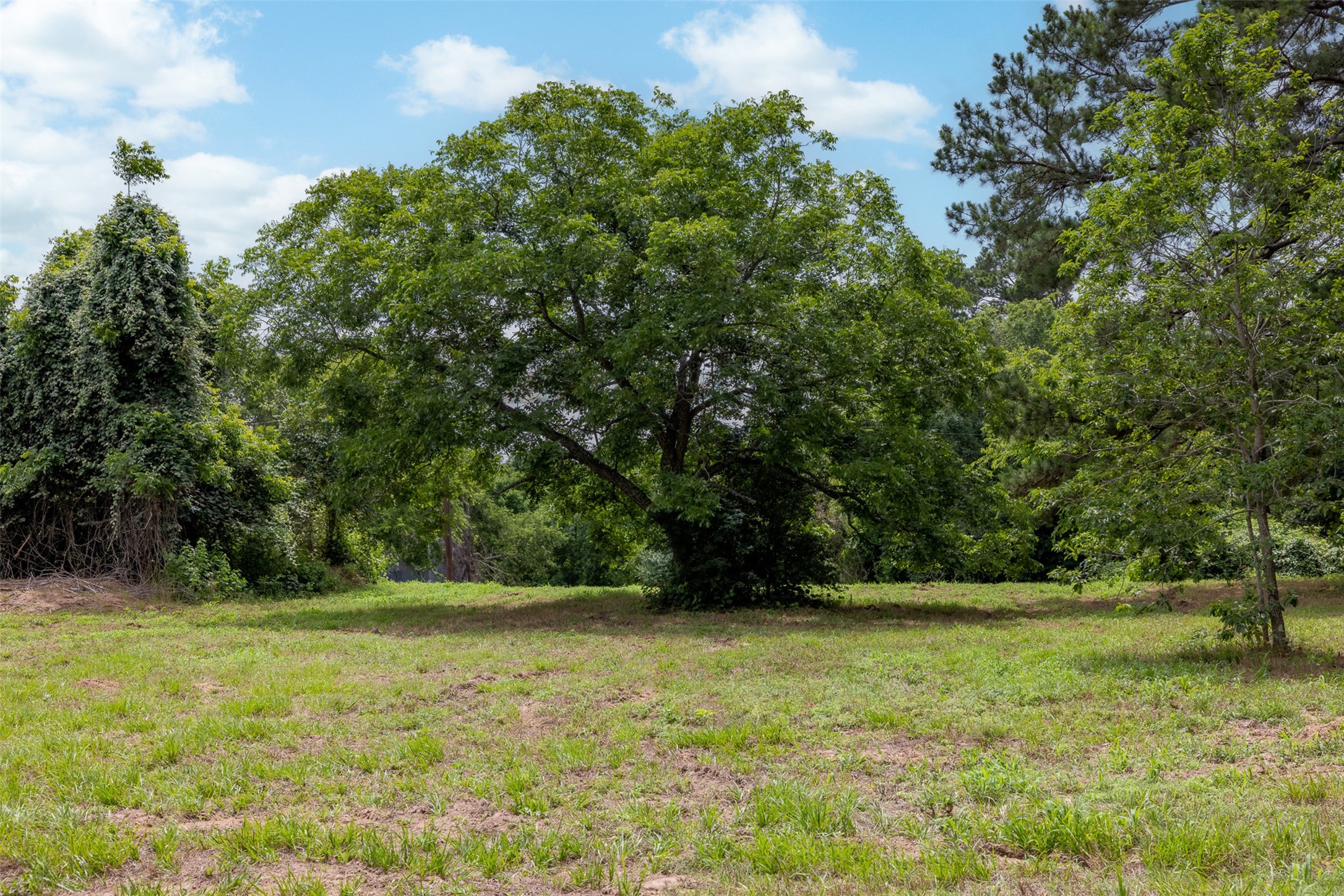 0 Ives Creek Road Bellville, TX 77418 - Photo 25 of 33 a view of outdoor space with deck and yard