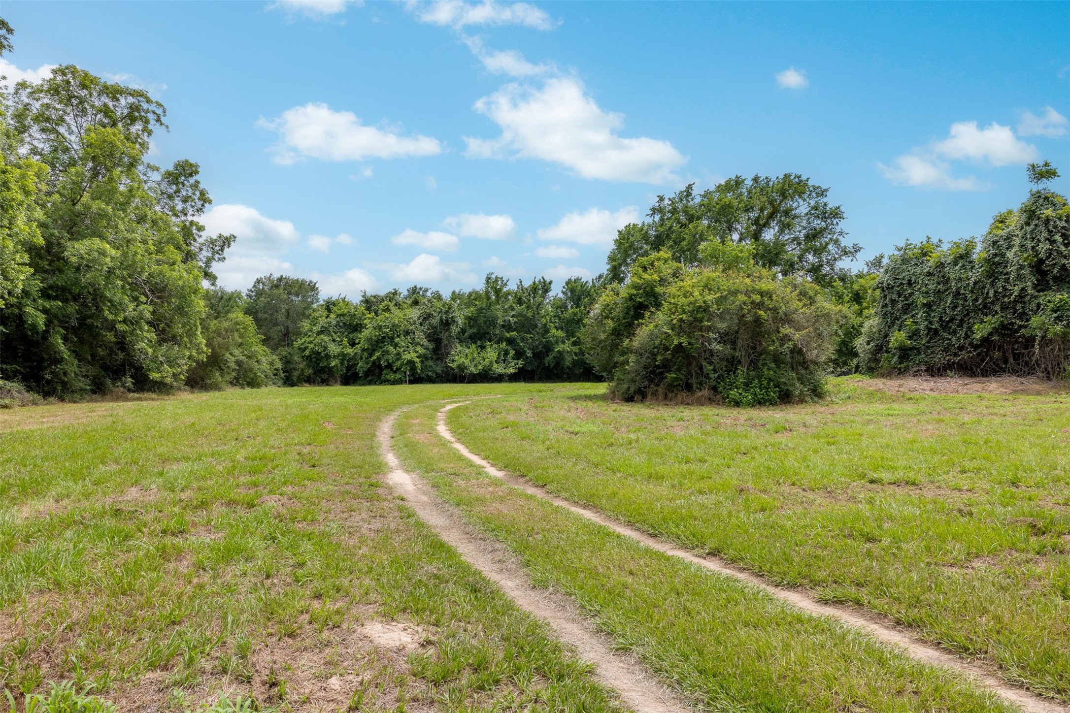 0 Ives Creek Road Bellville, TX 77418 - Photo 26 of 33 a view of a green yard