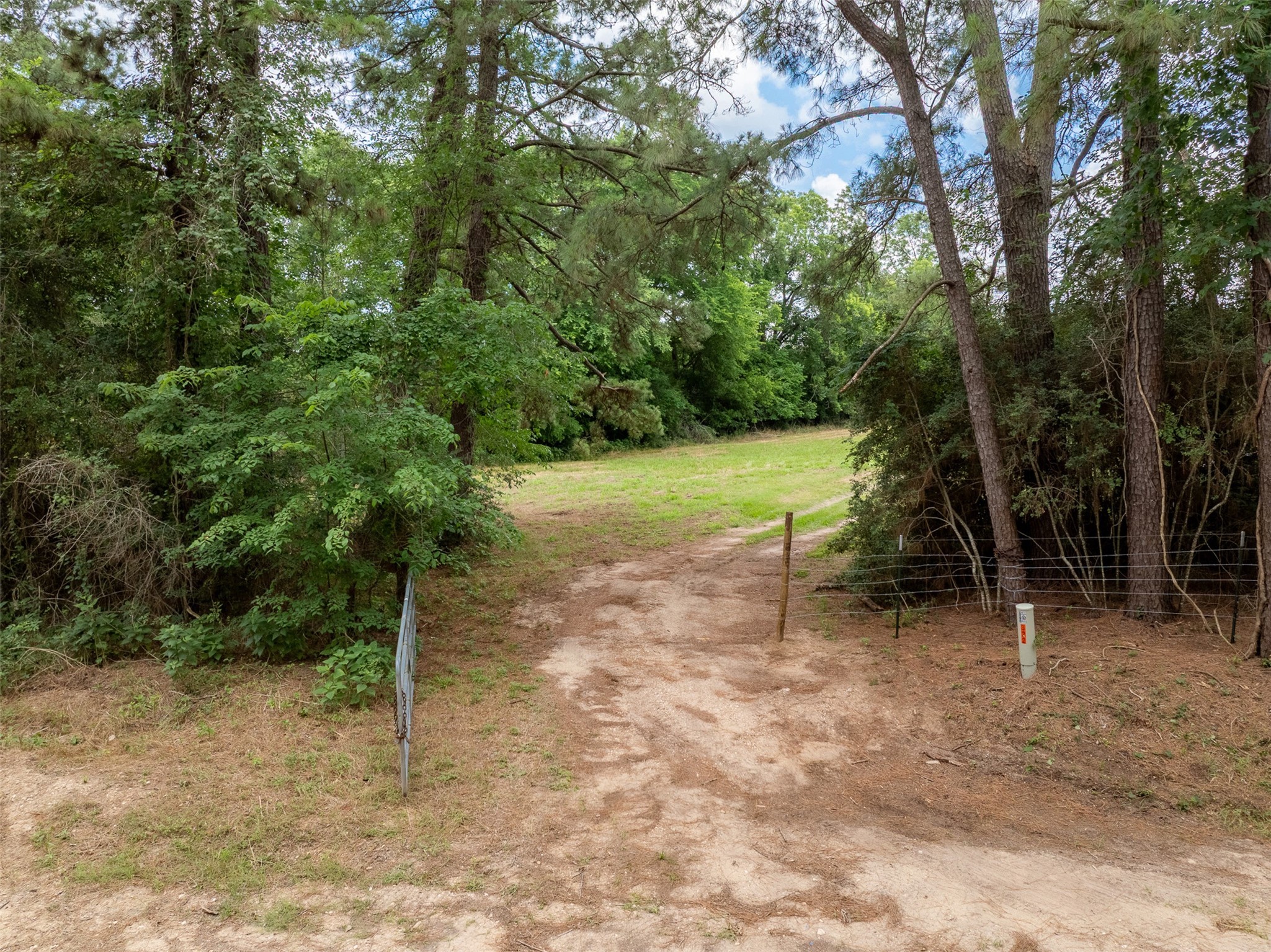 0 Ives Creek Road Bellville, TX 77418 - Photo 27 of 33 a view of outdoor space with trees all around