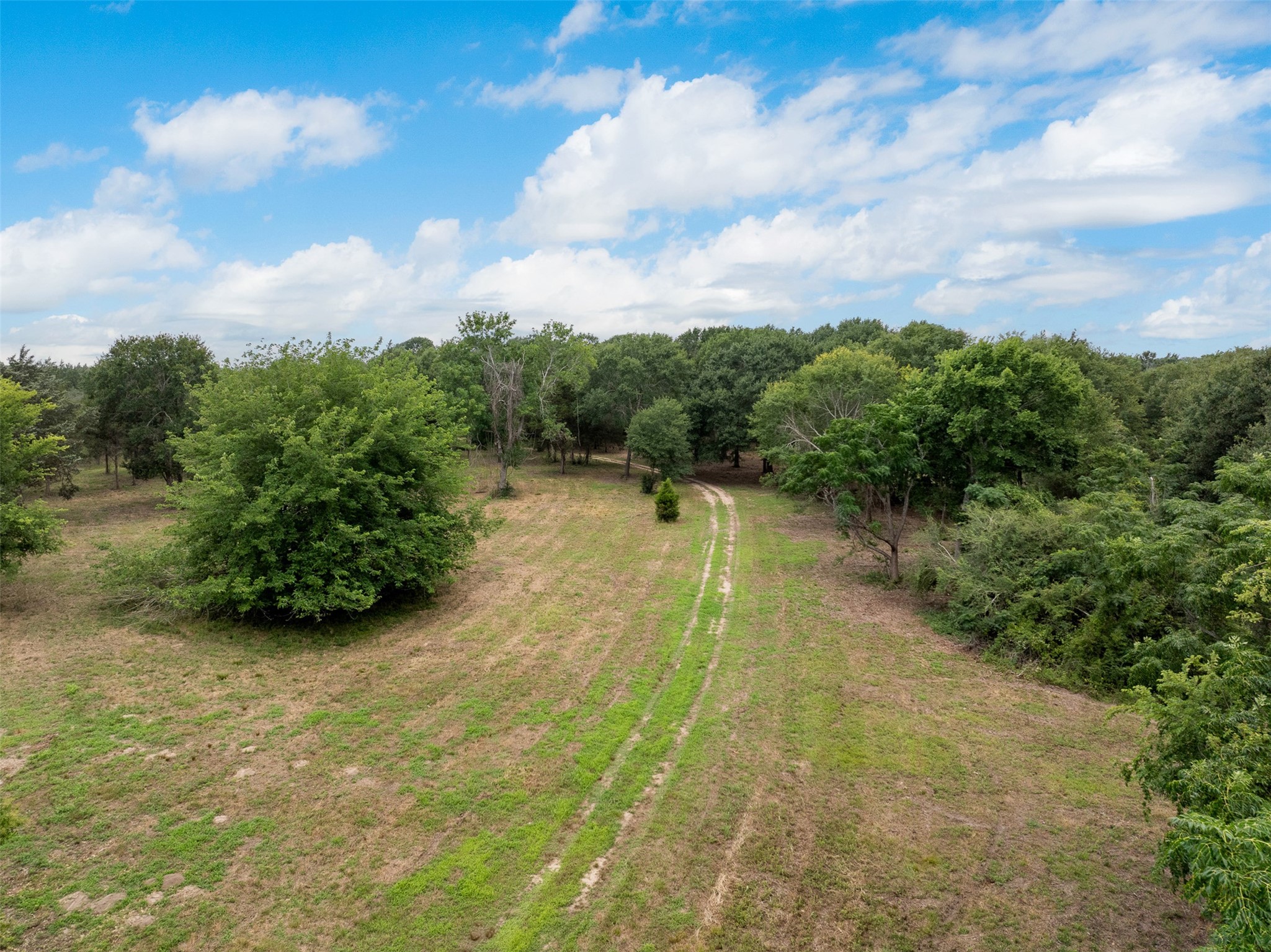 0 Ives Creek Road Bellville, TX 77418 - Photo 30 of 33 a view of a water pond with lots of green space