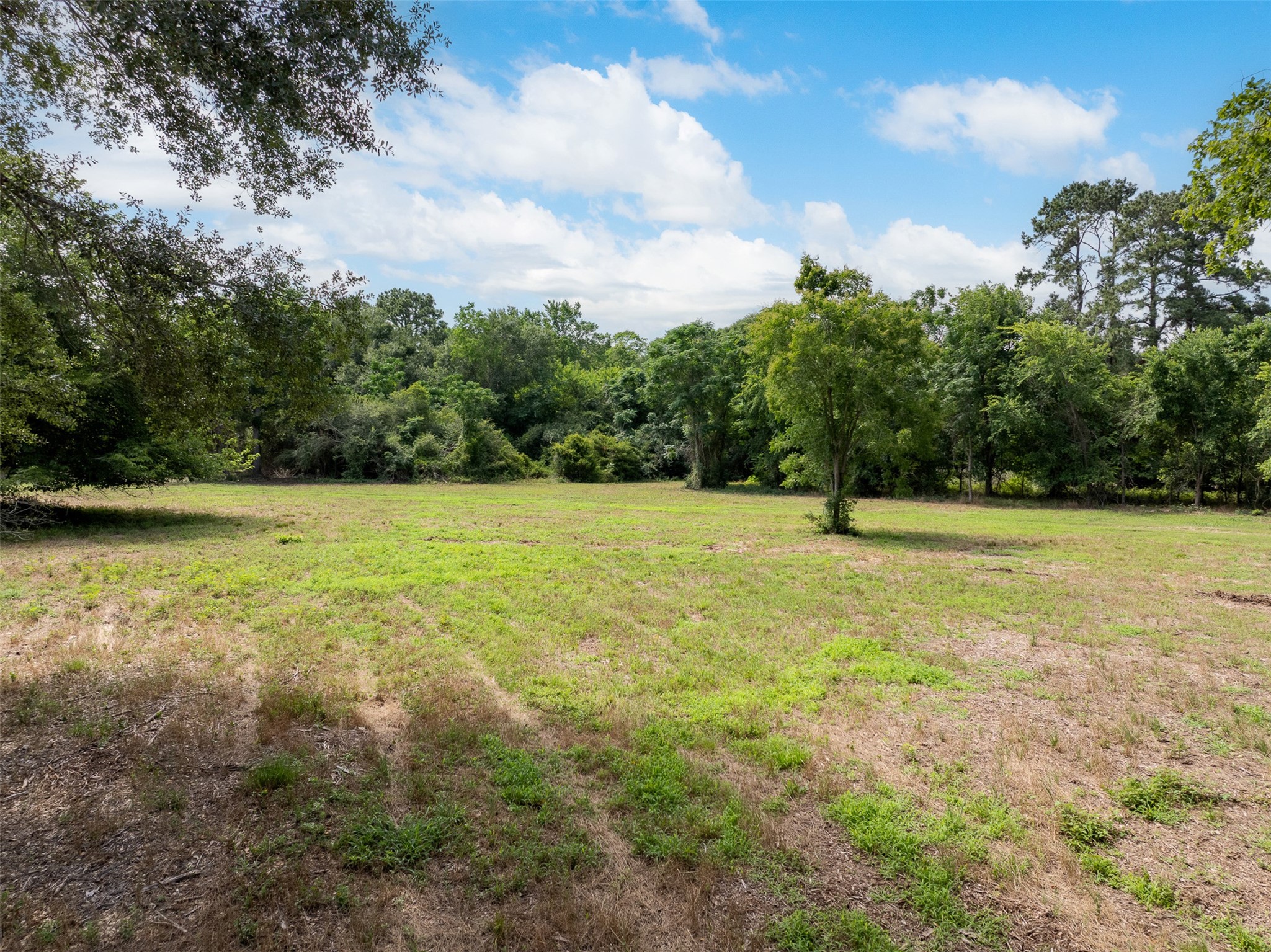 0 Ives Creek Road Bellville, TX 77418 - Photo 33 of 33 a view of a garden with a fountain