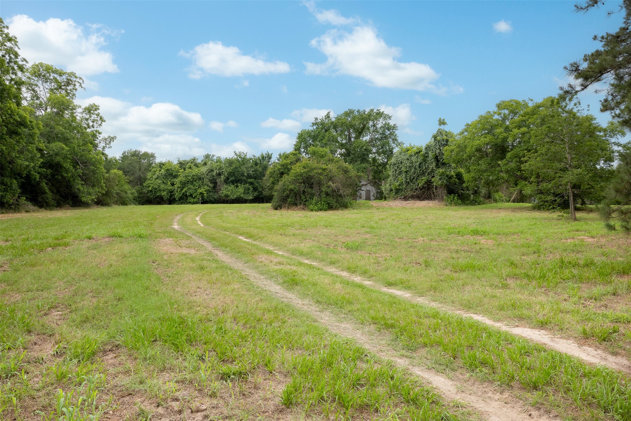 0 Ives Creek Road Bellville, TX 77418 - Photo 4 of 33 a view of field with trees in the background
