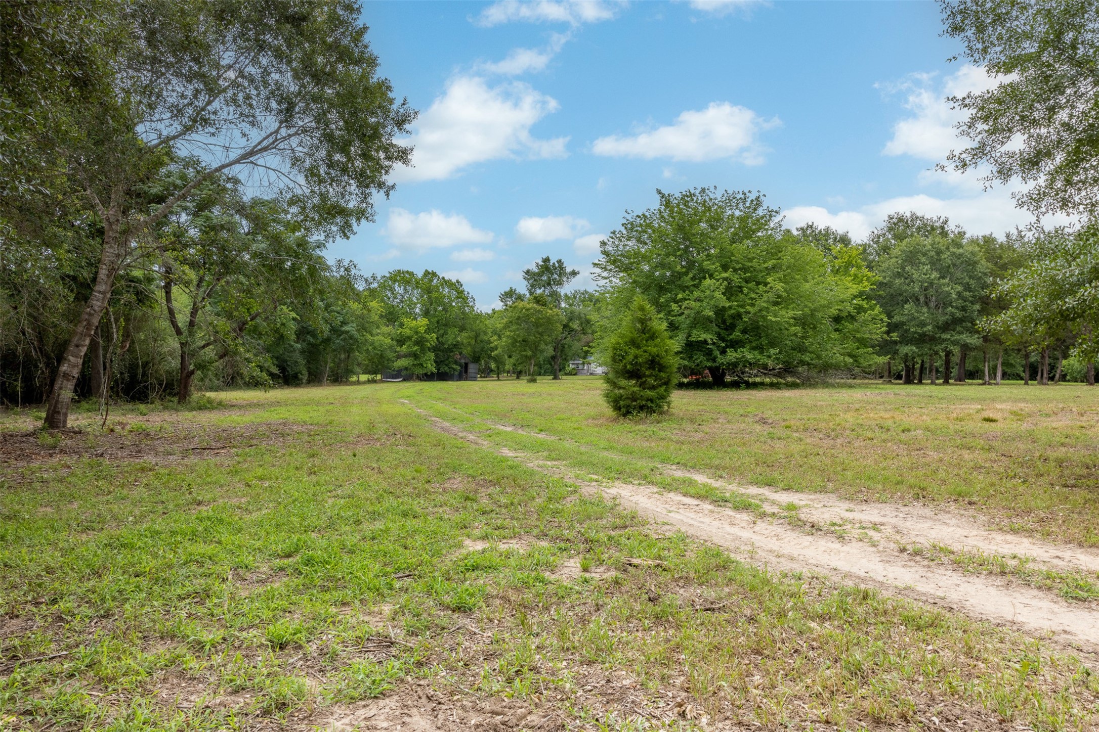 0 Ives Creek Road Bellville, TX 77418 - Photo 5 of 33 a view of a field with trees in the background