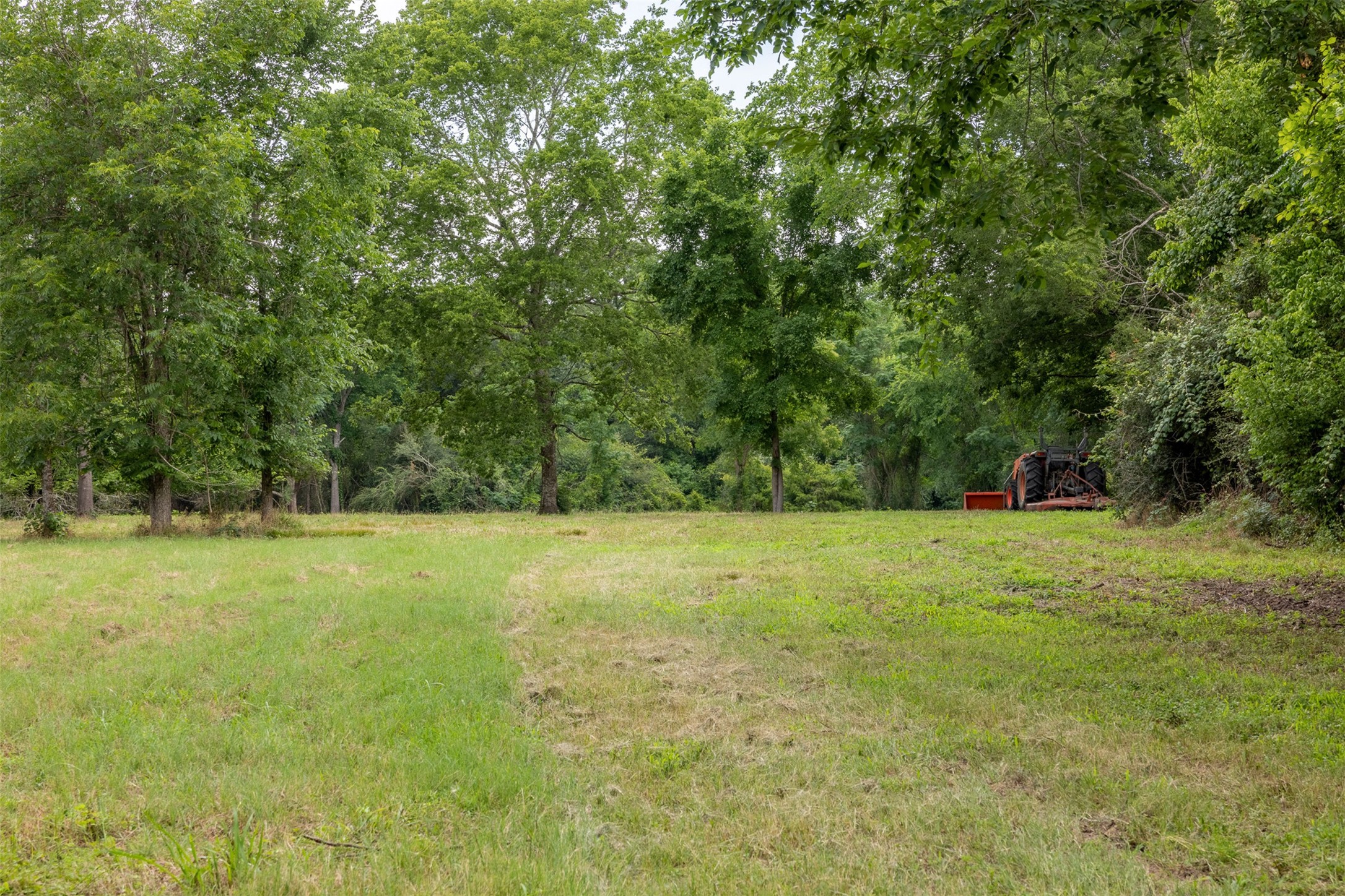0 Ives Creek Road Bellville, TX 77418 - Photo 9 of 33 a view of a field with trees in the background
