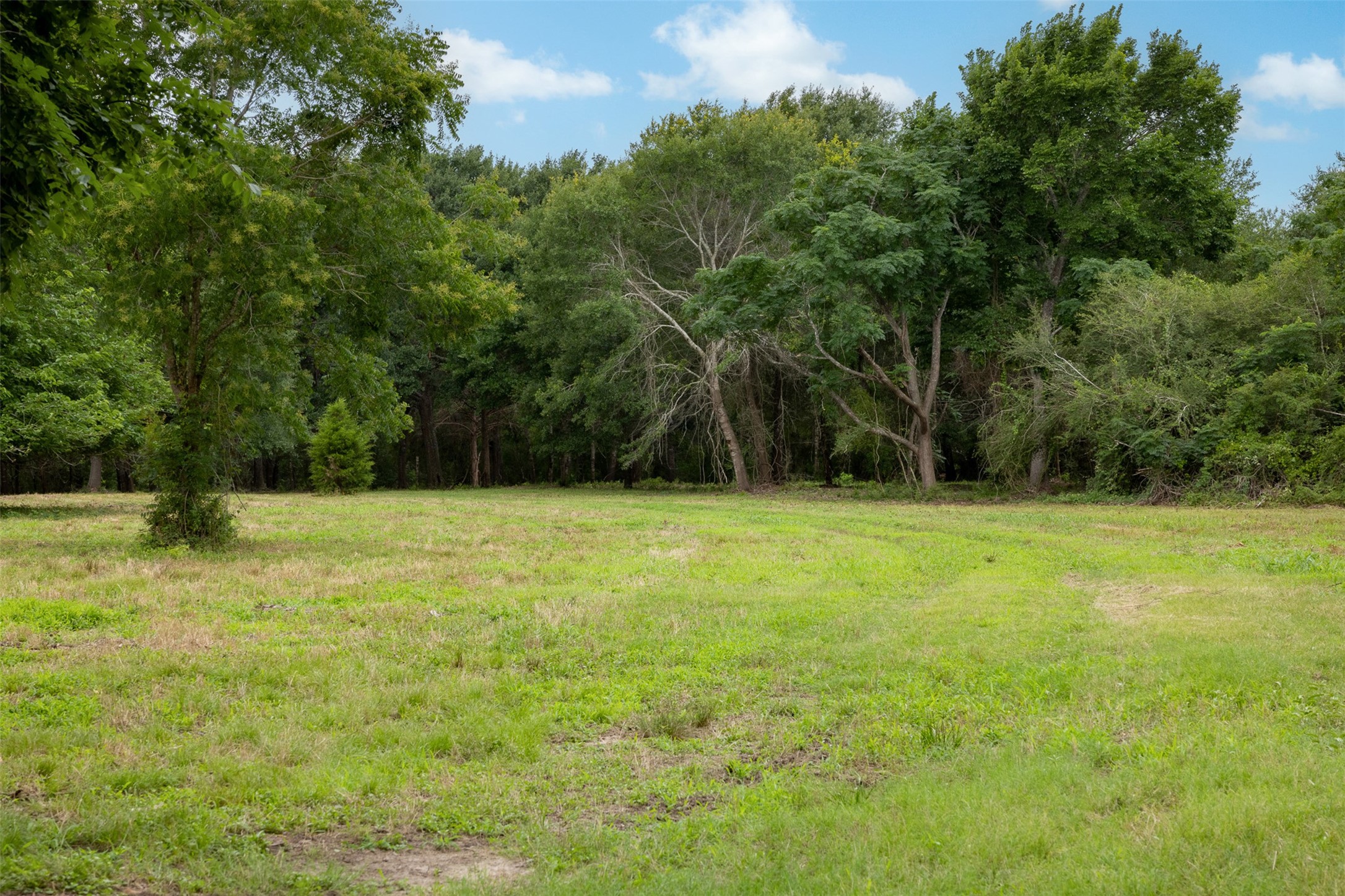 0 Ives Creek Road Bellville, TX 77418 - Photo 10 of 33 a view of a garden