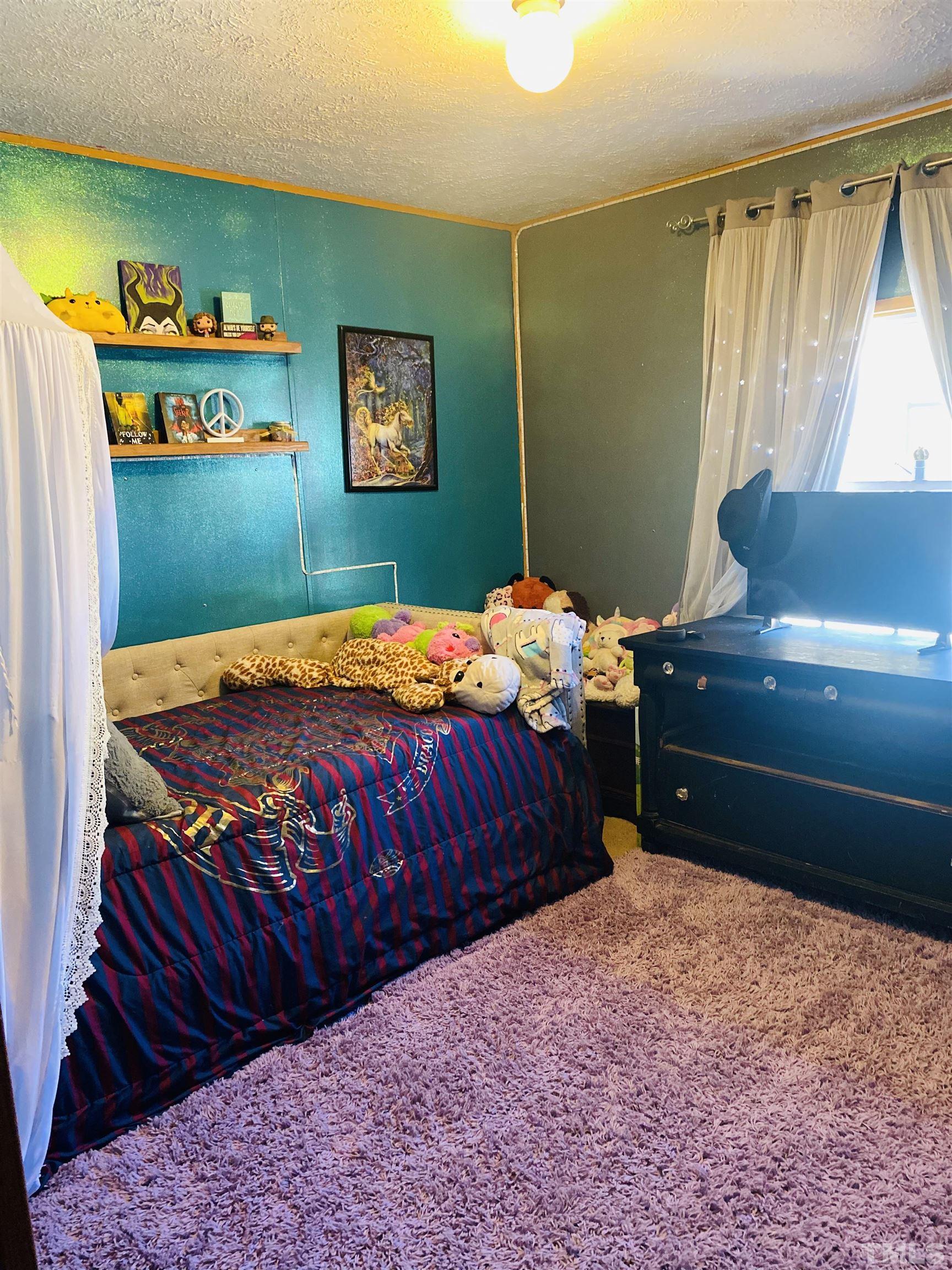 63 Rougemont Road Rougemont, NC 27572 - Photo 20 of 36 a bedroom with a bed and a dresser
