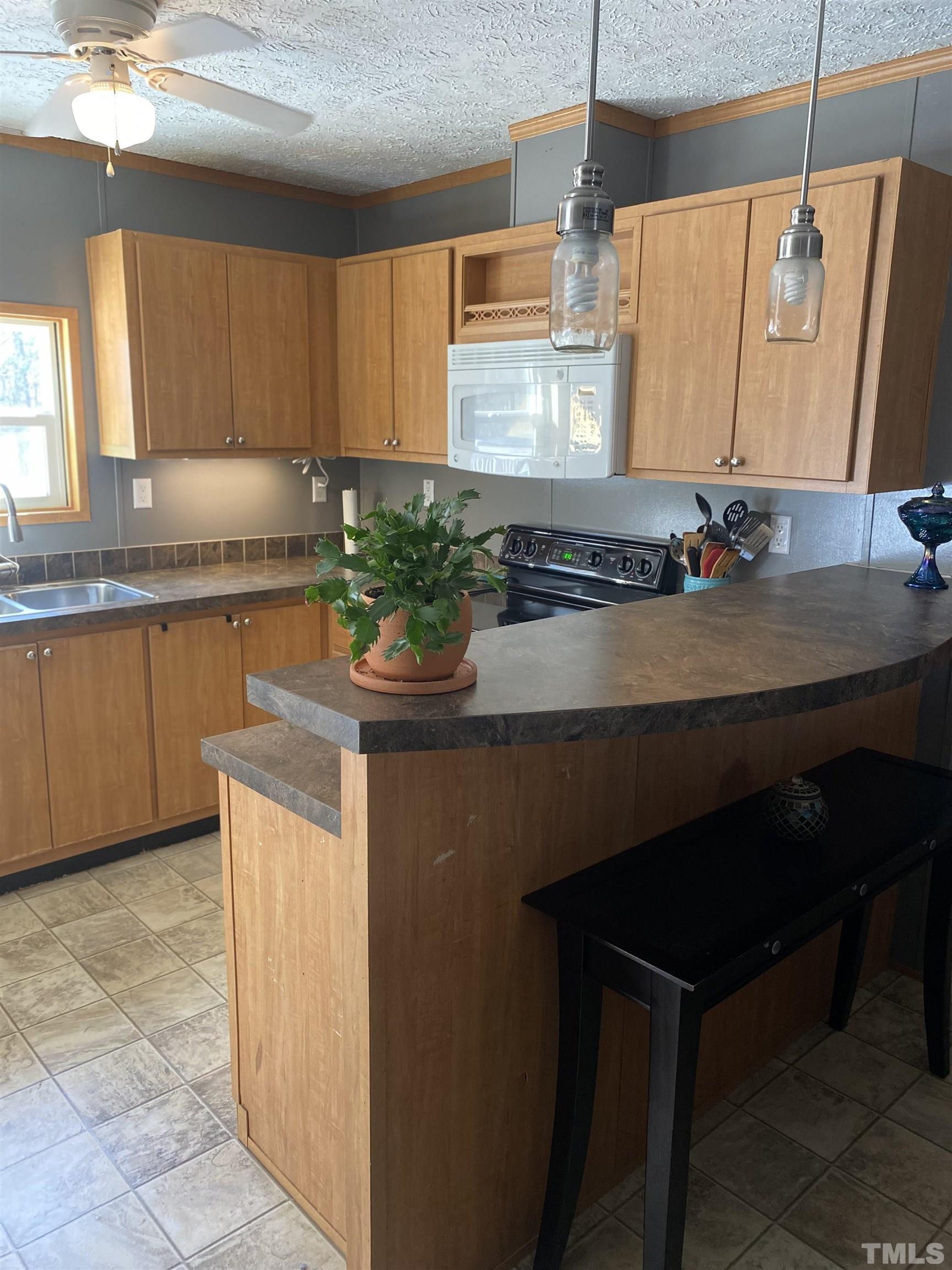 63 Rougemont Road Rougemont, NC 27572 - Photo 6 of 36 a kitchen with sink a microwave and cabinets