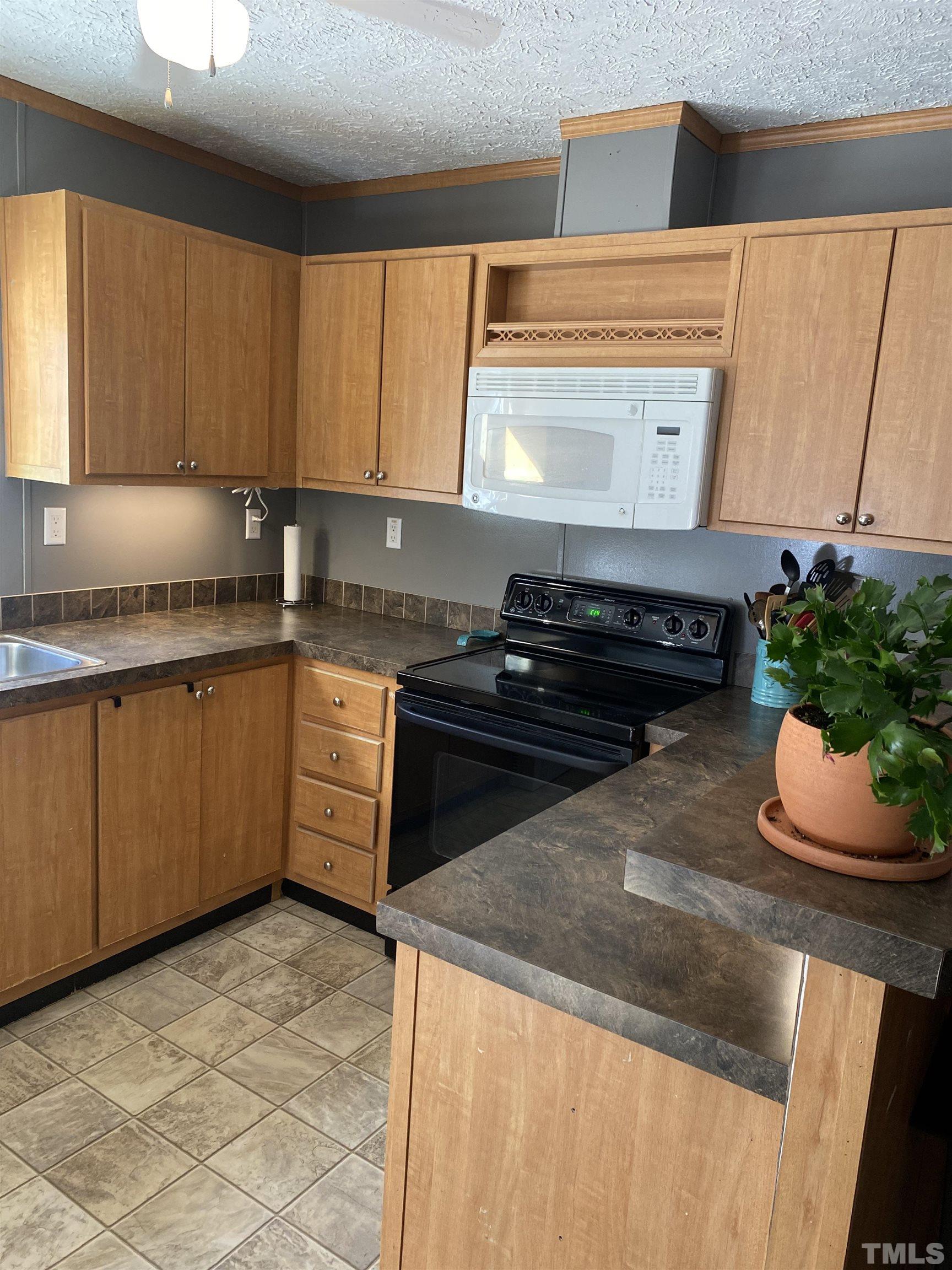 63 Rougemont Road Rougemont, NC 27572 - Photo 7 of 36 a kitchen with granite countertop a stove a sink and a microwave