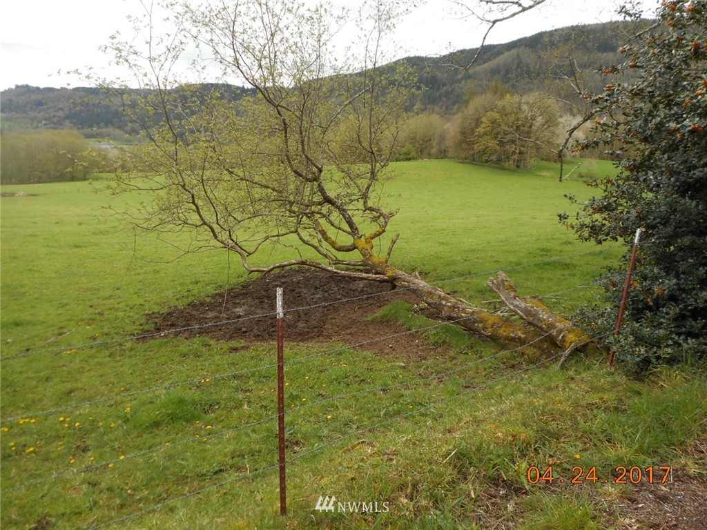 0 Ryan Road Mossyrock, WA 98564 - Photo 2 of 3 Gallery Image 2