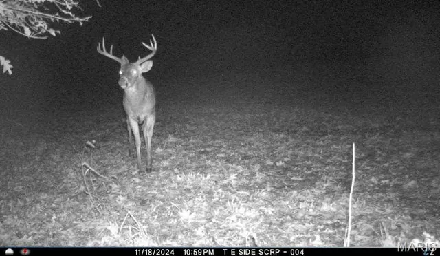 $1,068,000 | 28450 Hwy M, Middletown, MO 63359