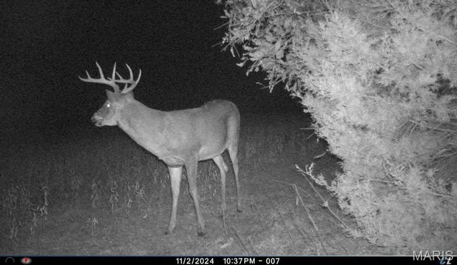 $1,068,000 | 28450 Hwy M, Middletown, MO 63359