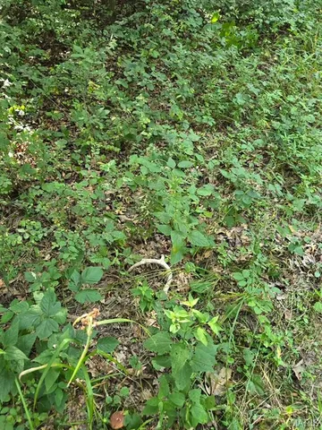 $1,068,000 | 28450 Hwy M, Middletown, MO 63359