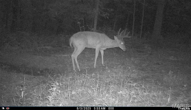 $1,068,000 | 28450 Hwy M, Middletown, MO 63359