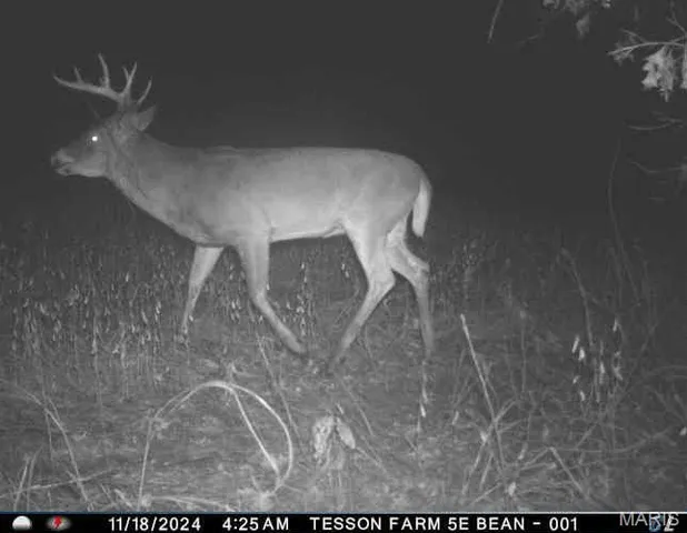 $1,068,000 | 28450 Hwy M, Middletown, MO 63359