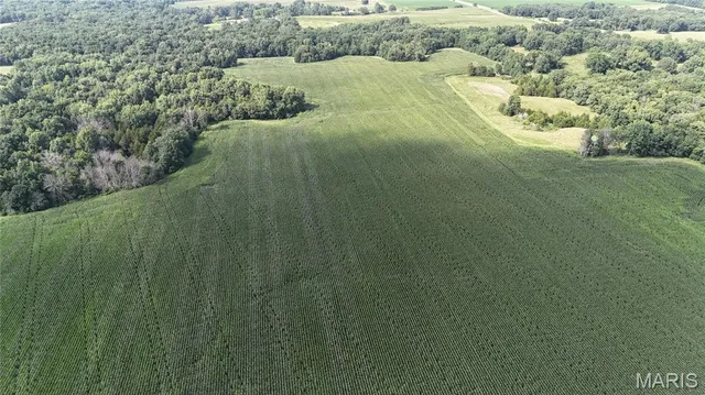 $1,068,000 | 28450 Hwy M, Middletown, MO 63359