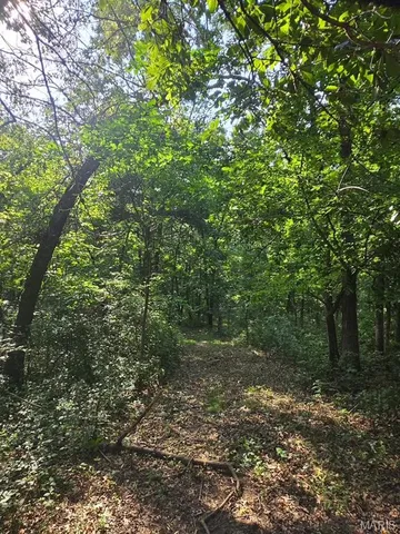 $1,068,000 | 28450 Hwy M, Middletown, MO 63359