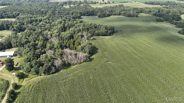 $1,068,000 | 28450 Hwy M, Middletown, MO 63359