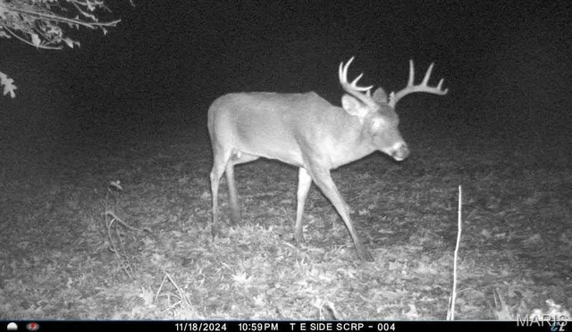 $1,068,000 | 28450 Hwy M, Middletown, MO 63359