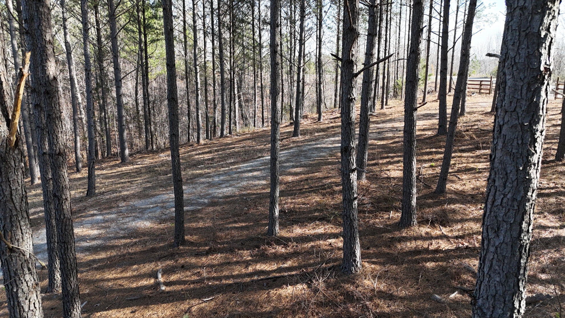 2748 Mcgee Road Linden, TN 37096 - Photo 19 of 43