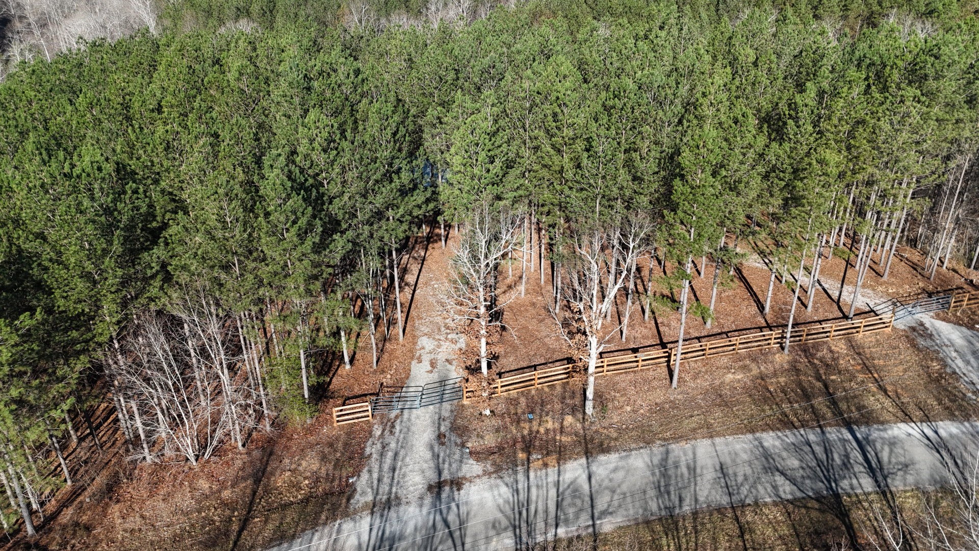 2748 Mcgee Road Linden, TN 37096 - Photo 5 of 43