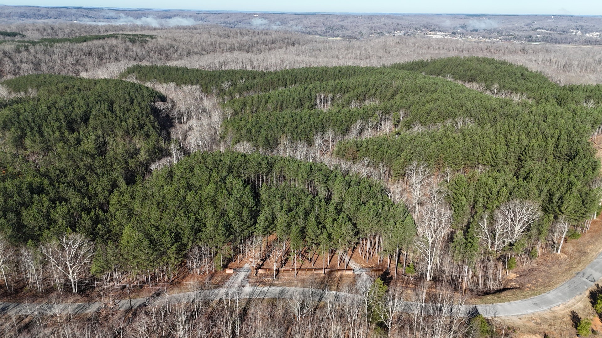 2748 Mcgee Road Linden, TN 37096 - Photo 7 of 43