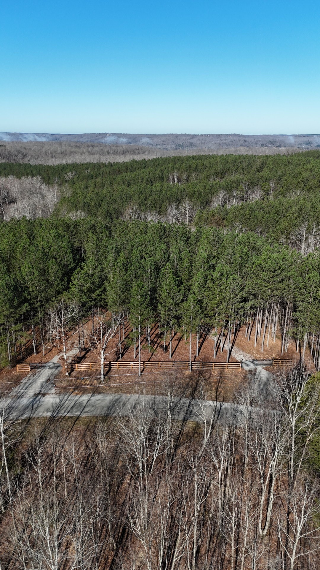 2748 Mcgee Road Linden, TN 37096 - Photo 9 of 43