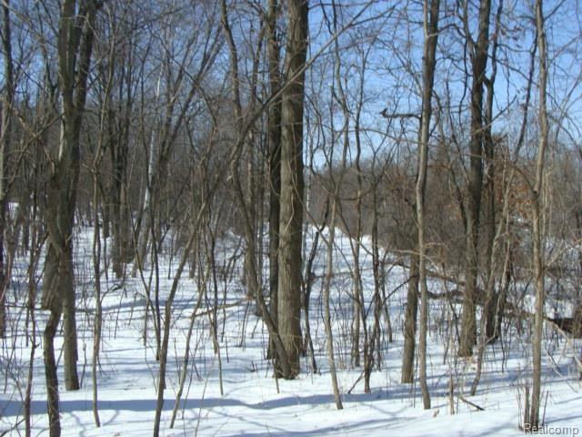 0 Nakomis Road Lake Orion, MI 48362 - Photo 6 of 12 484 Cushing-Nakomis 035.jpg
