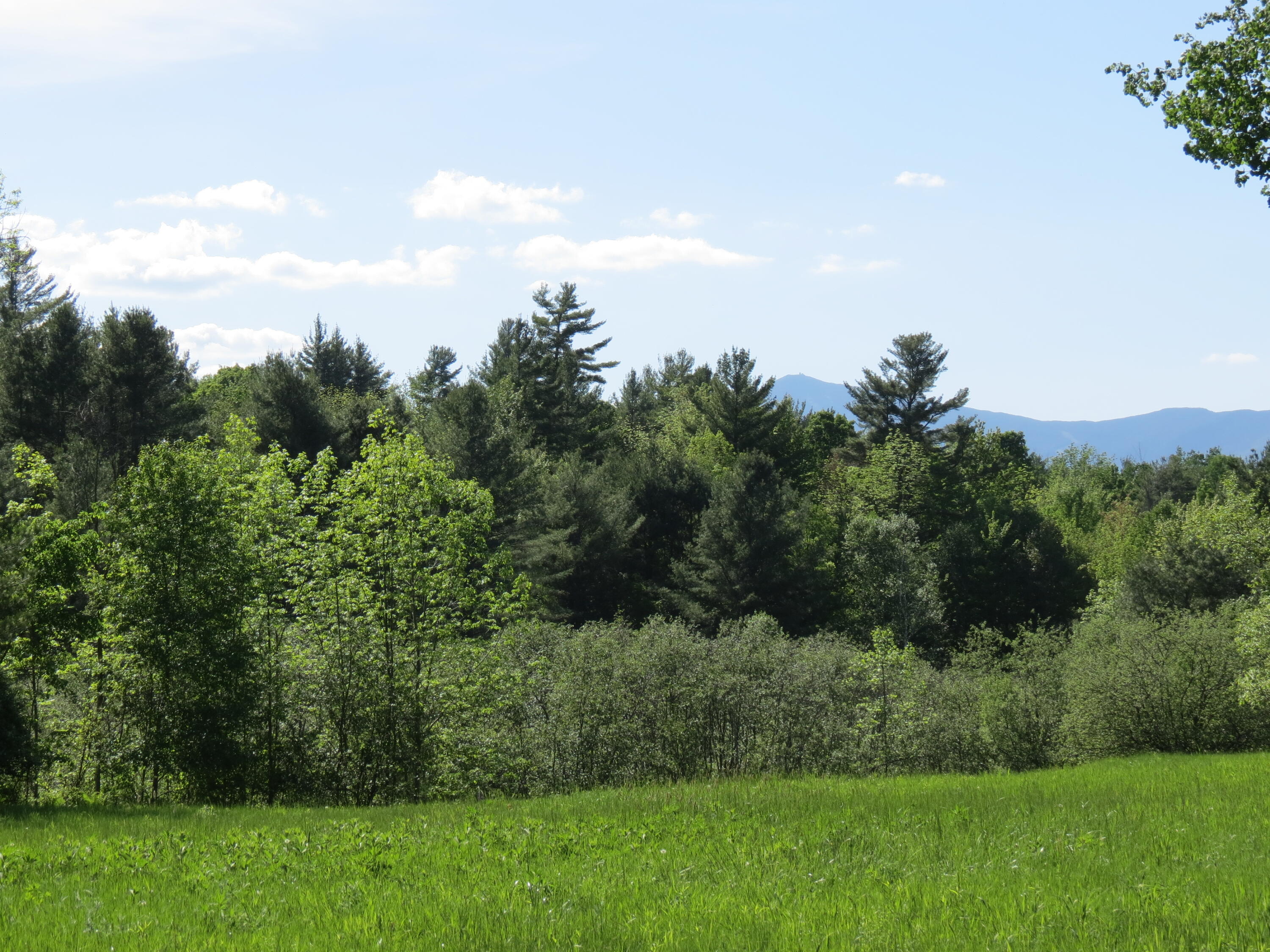 0 Trumbulls Road Upper Jay, NY 12987 - Photo 6 of 22