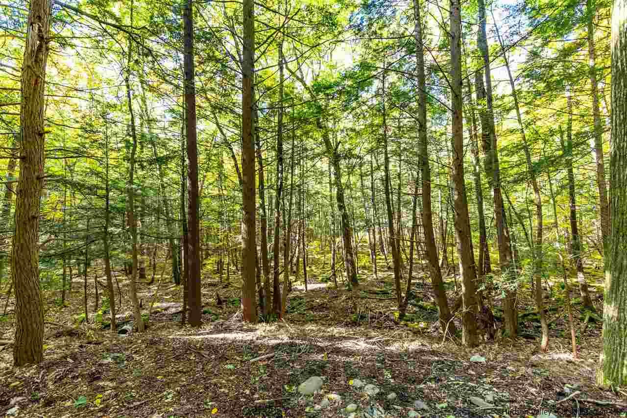 715 Wittenberg Road Mount Tremper, NY 12457 - Photo 23 of 28 Photo 23