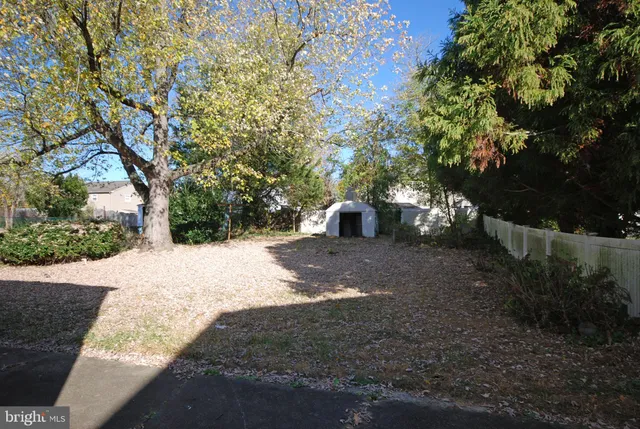 a view of a yard with a large tree