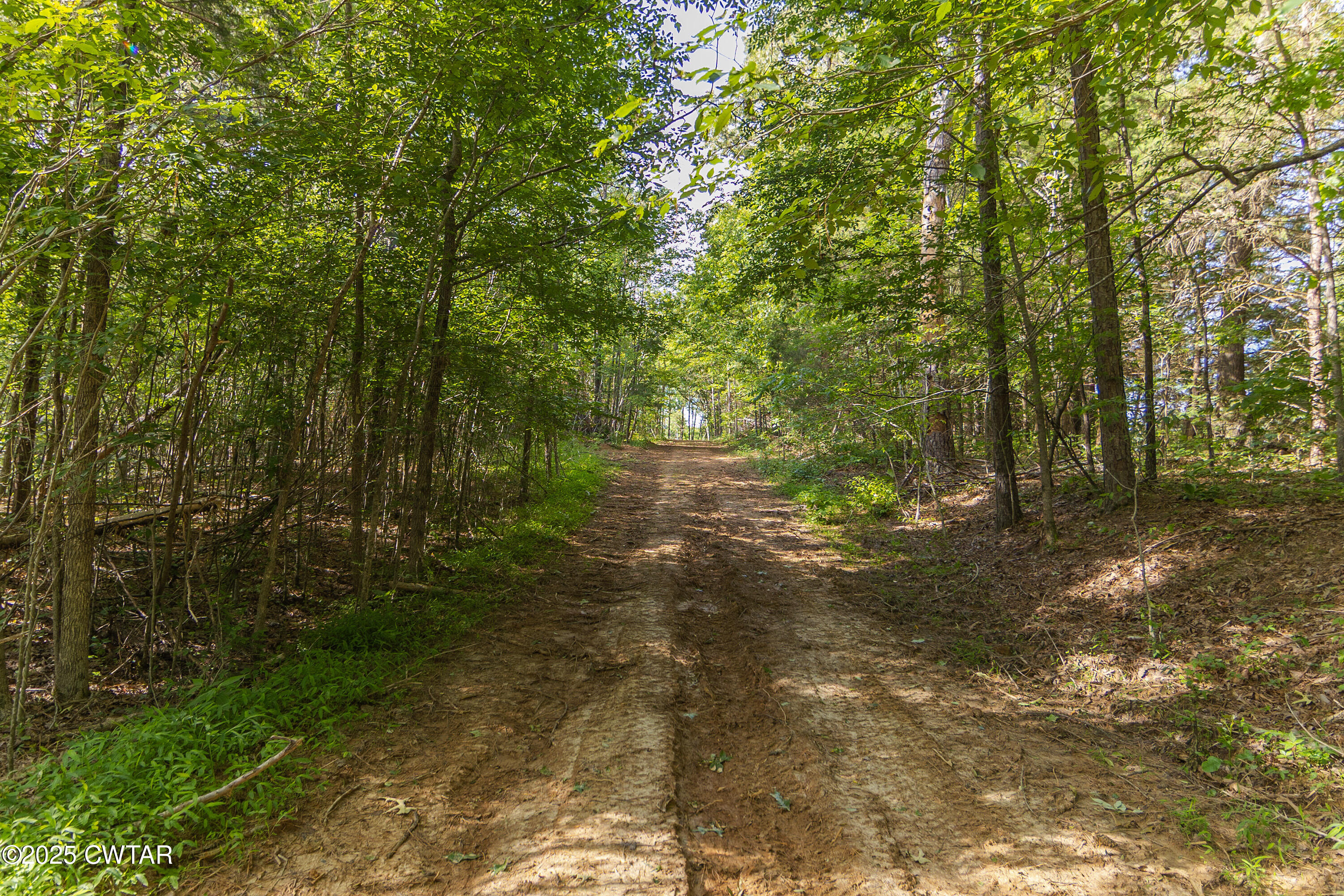 0 Collins Road Medon, TN 38356 - Photo 11 of 18 IMG_0153