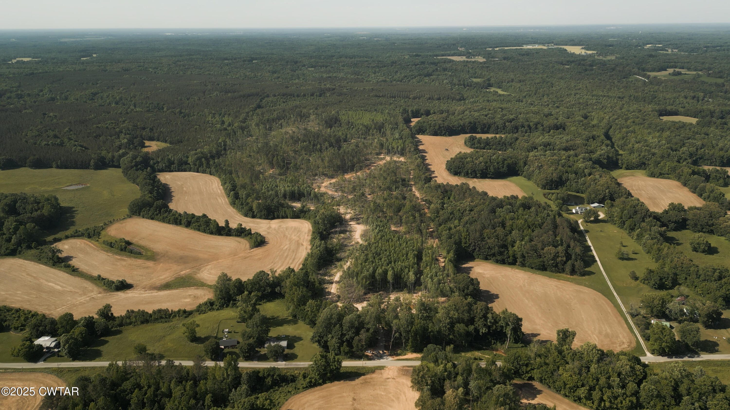 0 Collins Road Medon, TN 38356 - Photo 12 of 18 IMG_0170