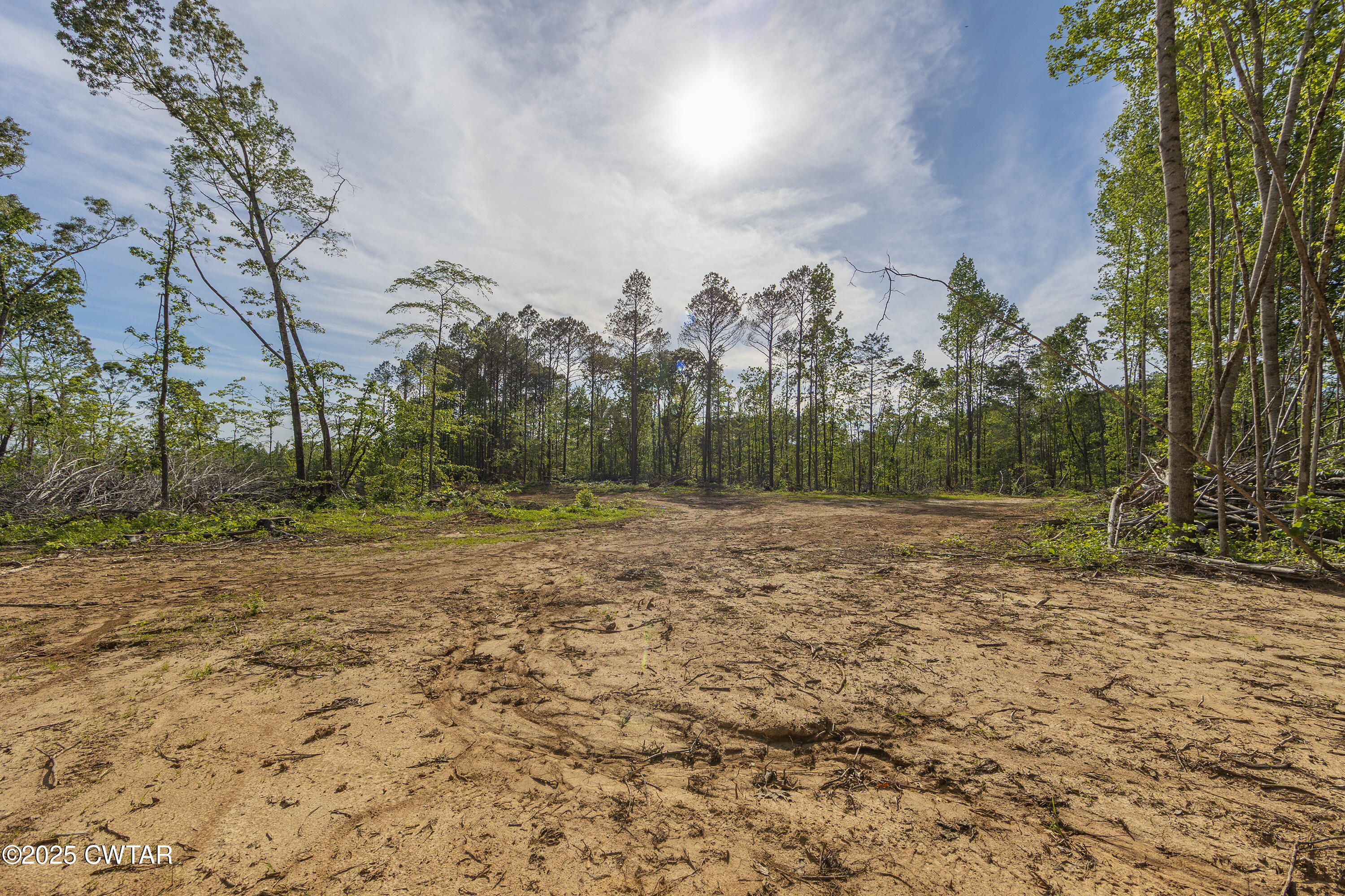 0 Collins Road Medon, TN 38356 - Photo 15 of 18 IMG_0156