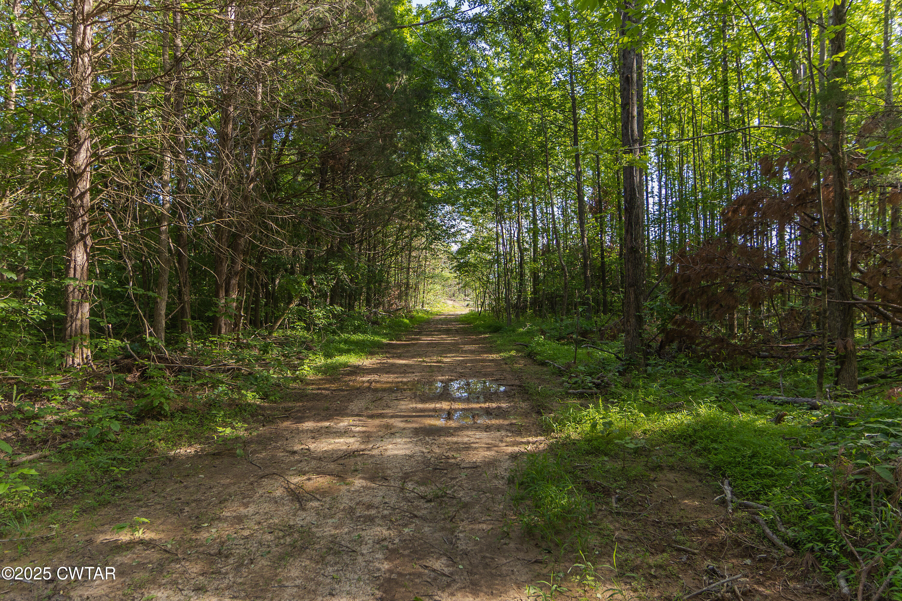 0 Collins Road Medon, TN 38356 - Photo 16 of 18 IMG_0138
