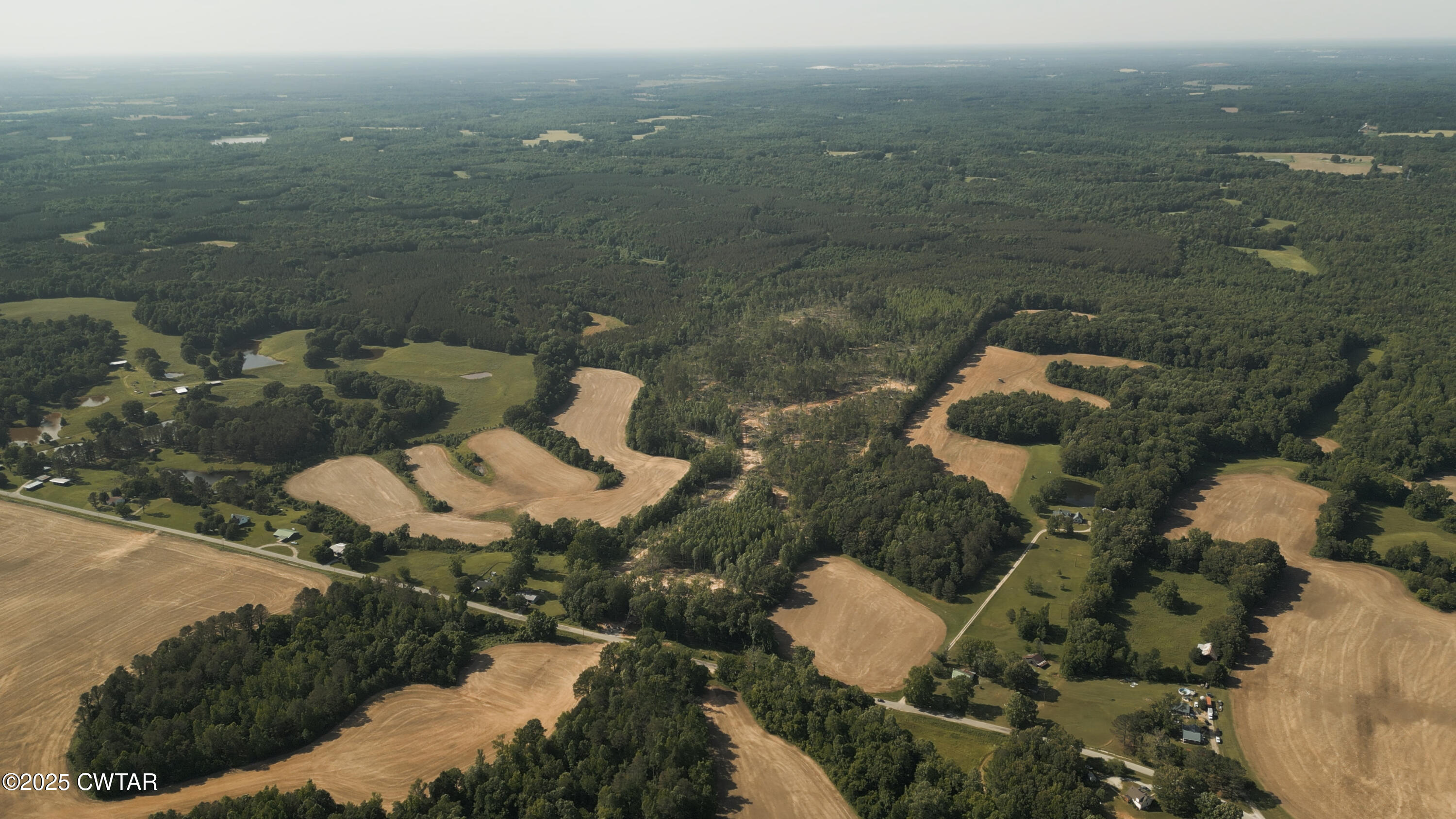 0 Collins Road Medon, TN 38356 - Photo 17 of 18 IMG_0155