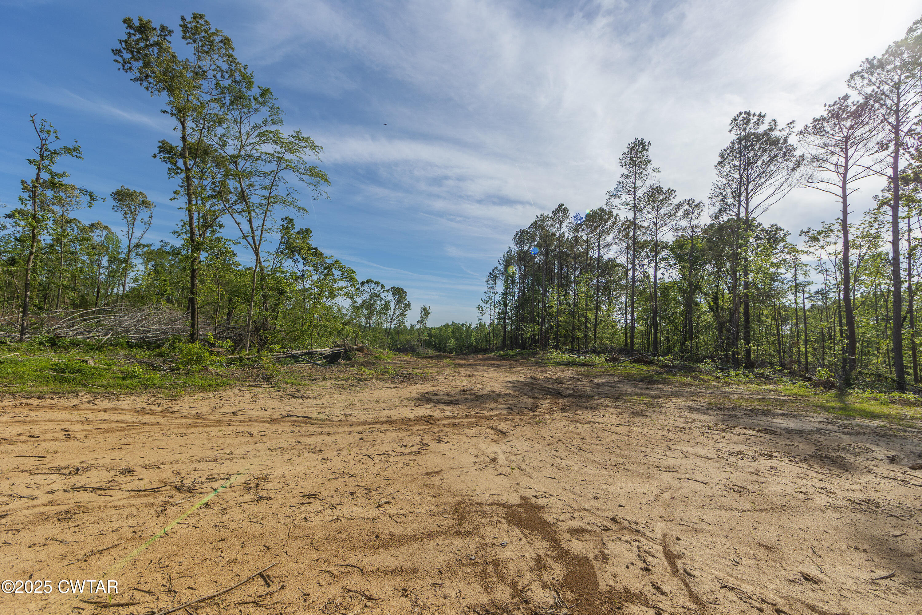 0 Collins Road Medon, TN 38356 - Photo 18 of 18 IMG_0141