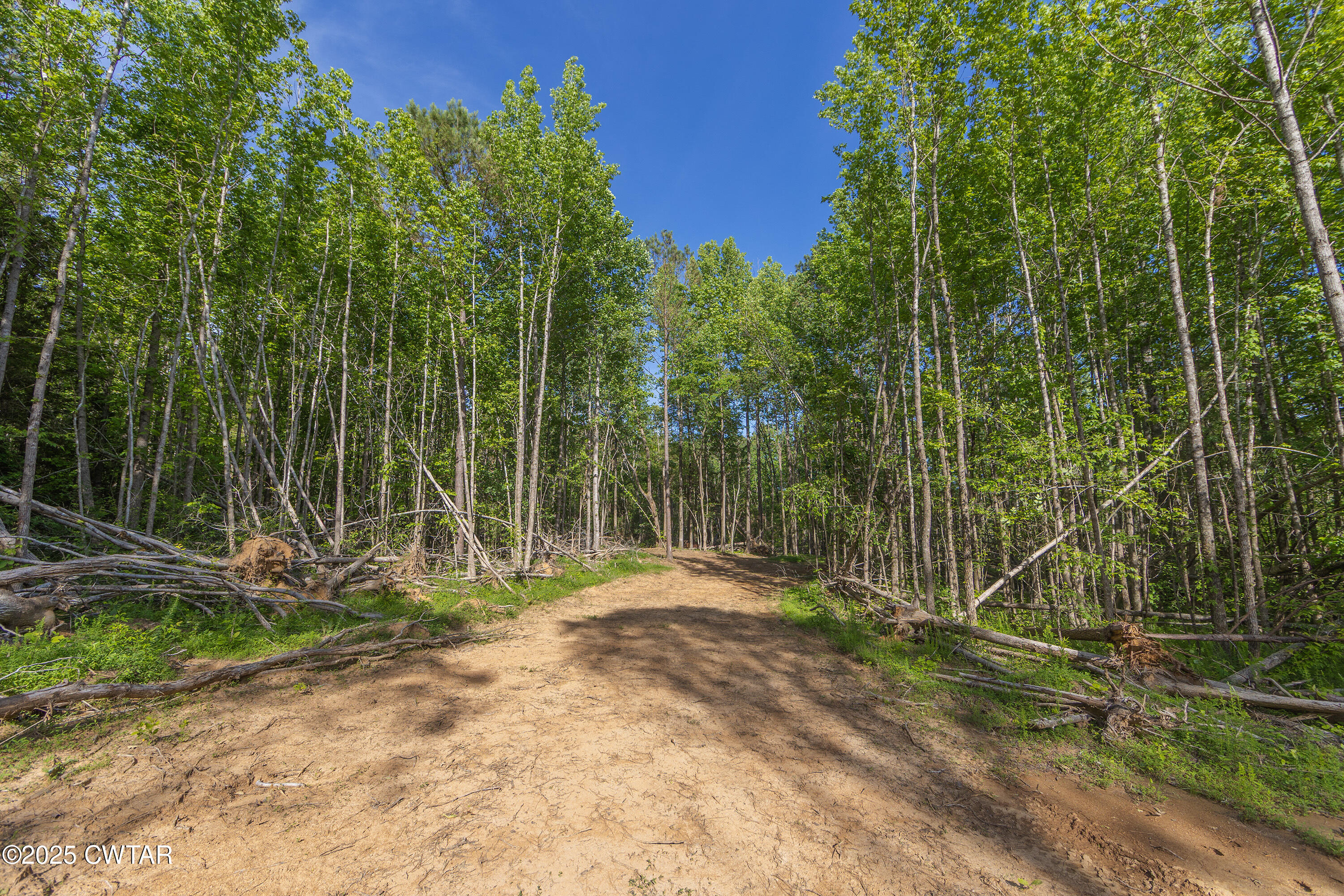 0 Collins Road Medon, TN 38356 - Photo 3 of 18 IMG_0139