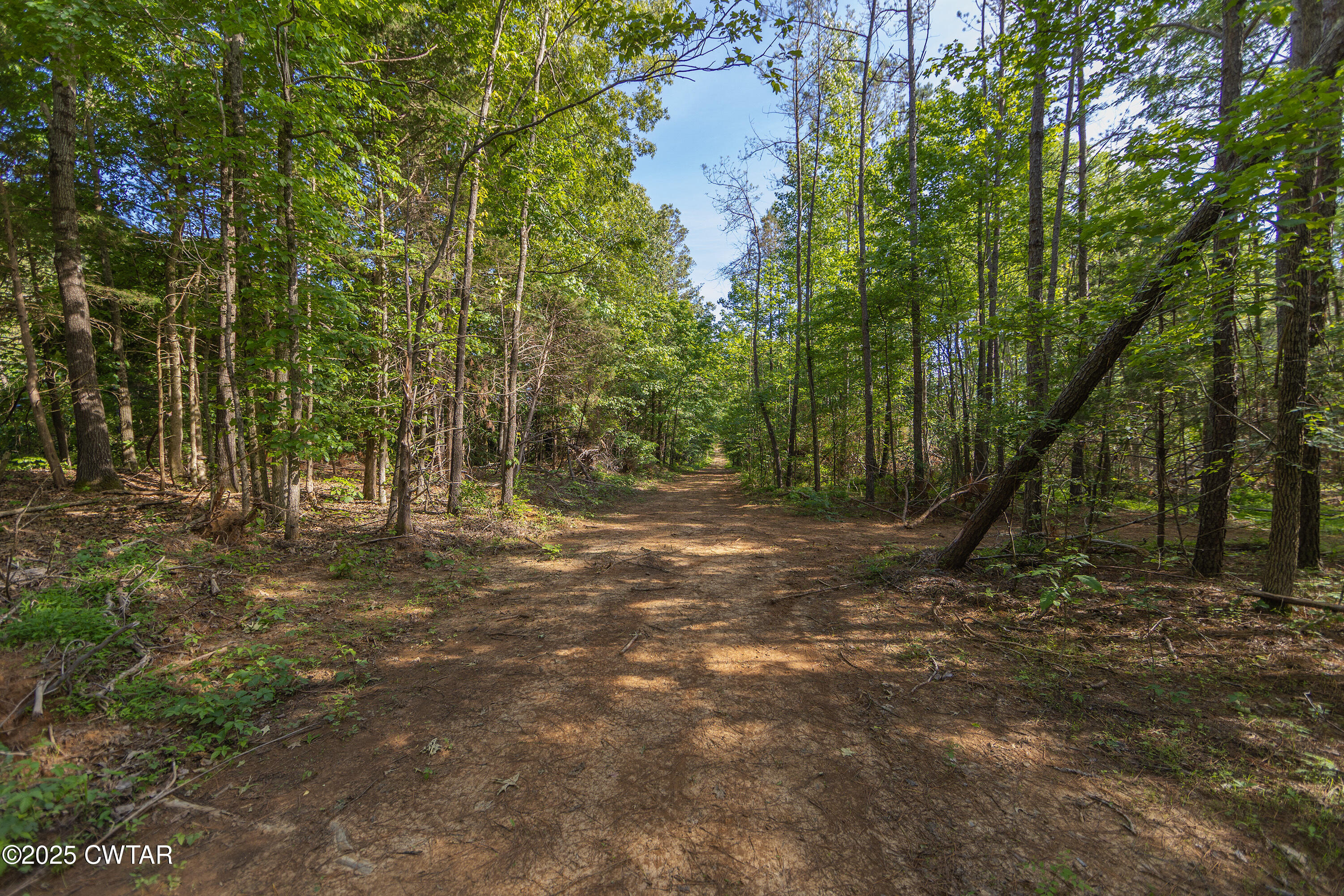 0 Collins Road Medon, TN 38356 - Photo 4 of 18 IMG_0181